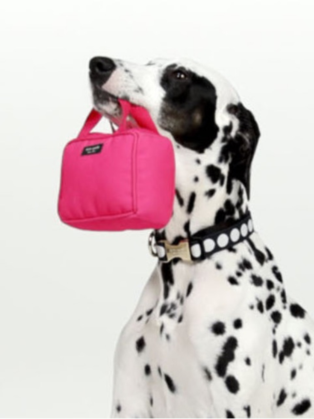 Kate Spade pink handbag dog toy NEW